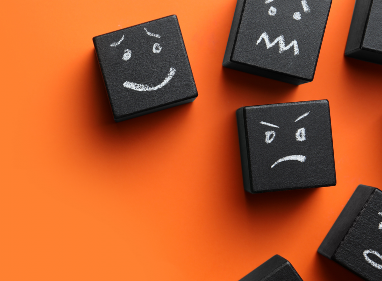 The Role of Emotions The Role of Emotions