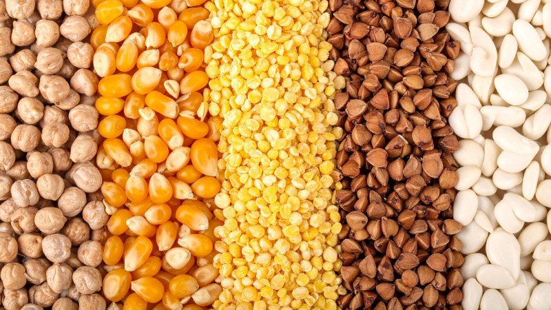 Unlocking Biodiversity: How Europe Is Rethinking Crop Diversity for a Resilient Future