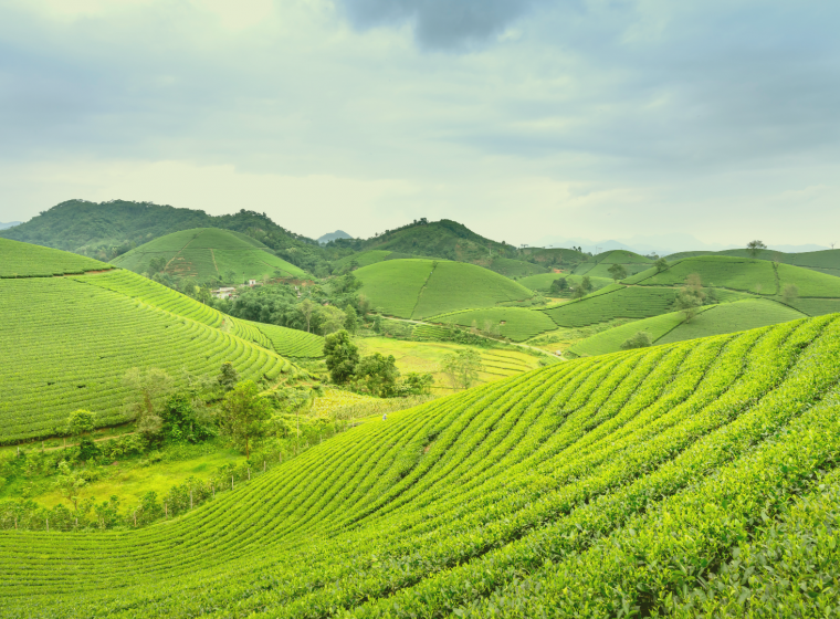 Soil Biodiversity as an Economic Asset Soil Biodiversity as an Economic Asset