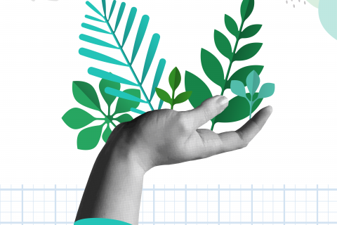Broadening Impact Beyond Market Success Broadening Impact Beyond Market Success