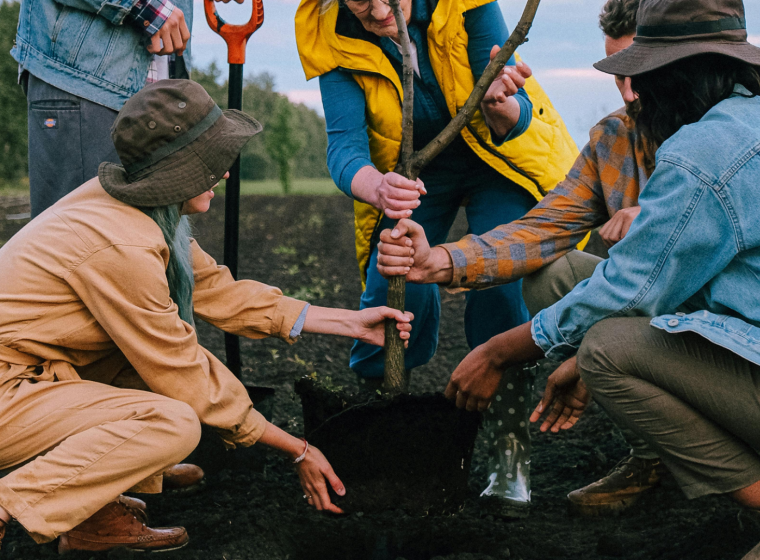 Why Soil Health Needs Collaboration Why Soil Health Needs Collaboration