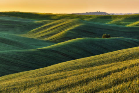 Shaping Europe’s Sustainable Bioeconomy Shaping Europe’s Sustainable Bioeconomy