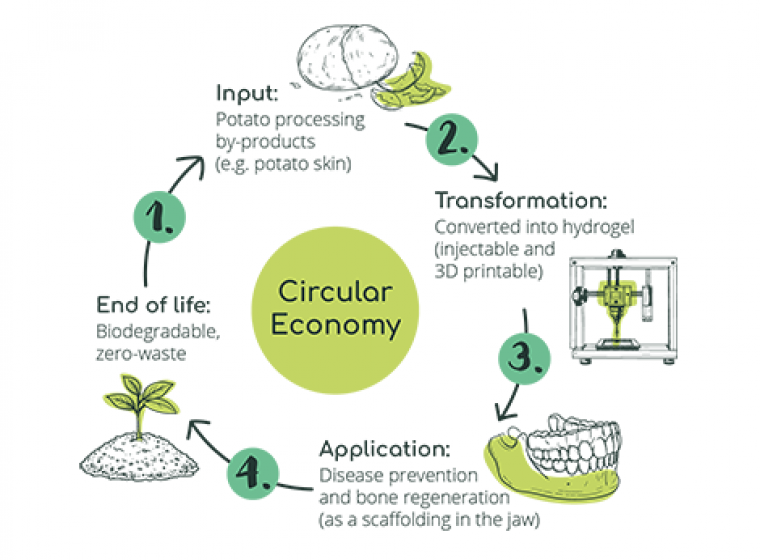 Healing bones, rethinking waste Healing bones, rethinking waste