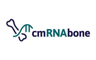 cmRNAbone